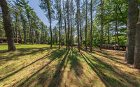 Boys’ Grove