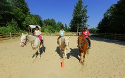 Horse Corral
