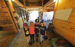 Horse Stables